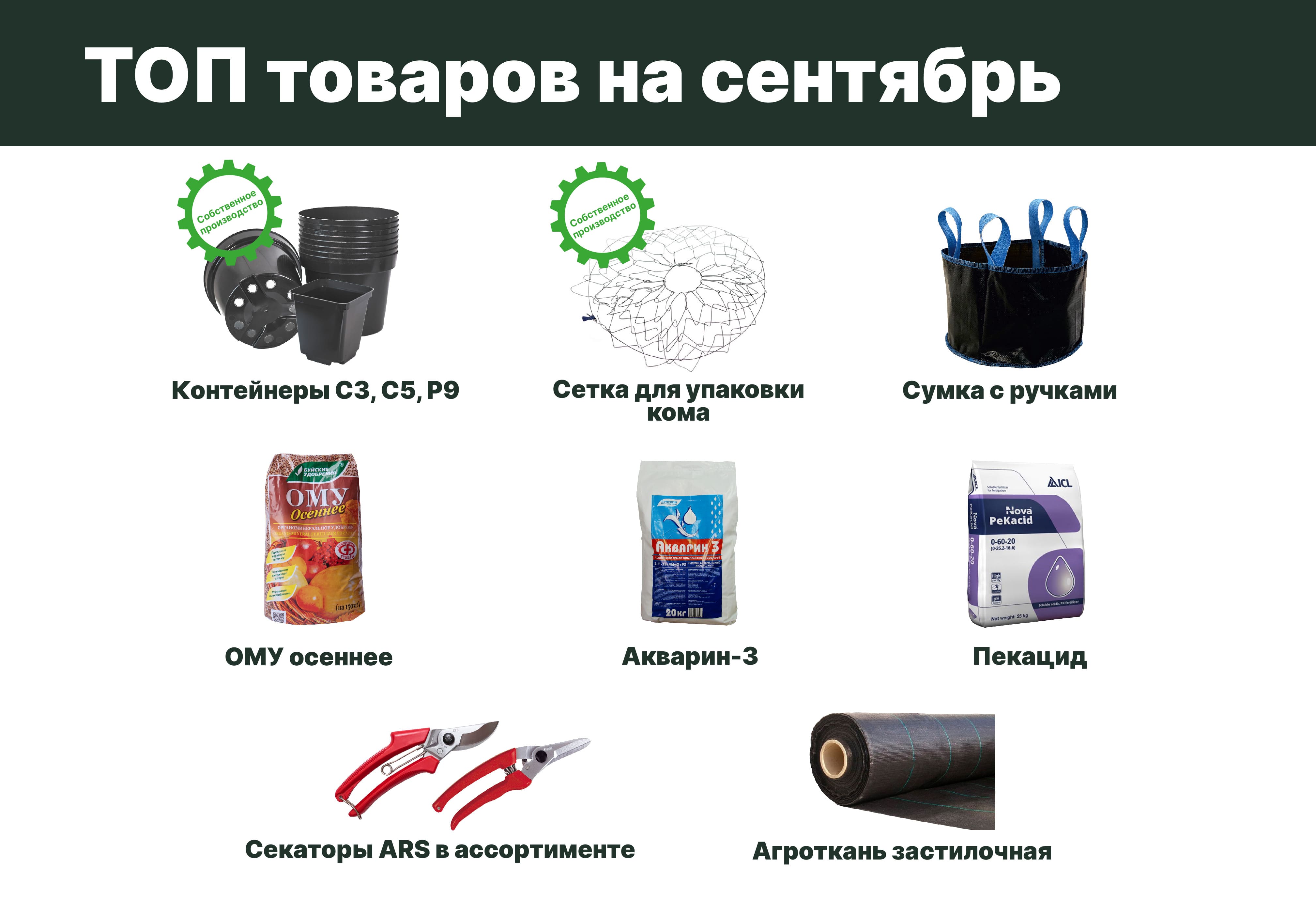 Топ товаров на сентябрь